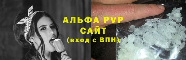 spice Богородск