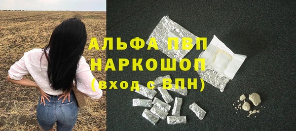 spice Богородск