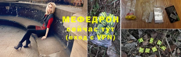 spice Богородск