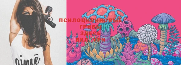 не бодяженный Богородицк