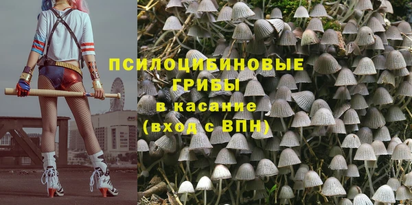 spice Богородск